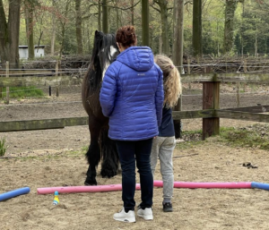 Soulhorses retraite katja en ilaria